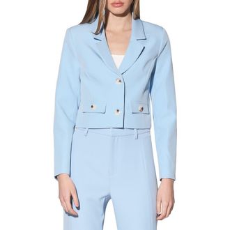 Walter Baker Joelle Blazer Jacket in Baby Blue at Nordstrom Rack, Size X-Small