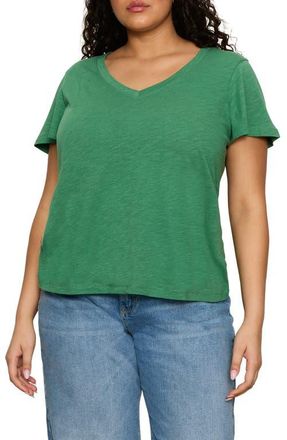 Sanctuary V-Neck T-Shirt in Green Juice at Nordstrom, Size 2X