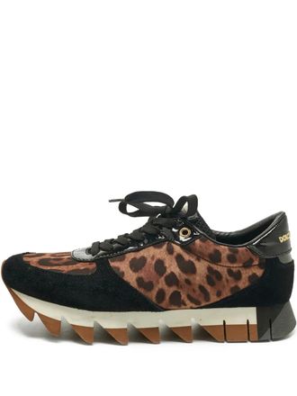 Dolce & Gabbana leopard-print sneakers - Brown