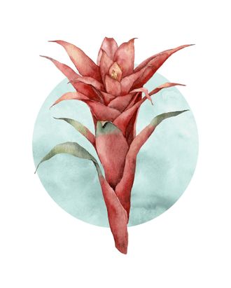 Komar Bild »Funky Flower« Natur 1 Stk. tlg. Wandbild zur Dekoration - ohne Rahmen