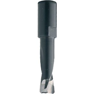 CMT 380.040.11 FRESA PER DOMINO DF500 FESTOOL HWM Z2 S=M6x0.75 D=4x11x38 DX, nero
