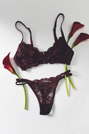 Clo Intimo Lace Bralette
