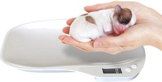 OEM Balanza Digital Para Mascotas - 15 Kg/1 Gramo - Blanca