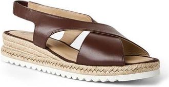 Aquatalia Adelina Weatherproof Slingback Espadrille Platform Wedge Sandal in Ash Brown Leather at Nordstrom, Size 11