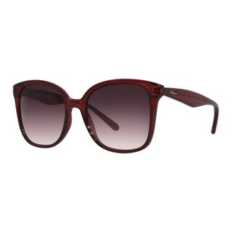 Ferragamo SF1072S 630 Crystal Burgundy/Mauve Gradient