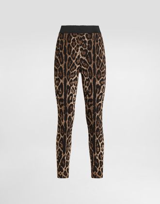 Dolce & Gabbana Leo-print Cady Leggings - Woman Collection Animal Print 36