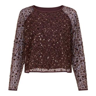 Twinset Blouses, female, Brown, Size: XS Sequin Embroidered Sheer Blouse