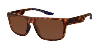 Champion INTENT Polarized C02 Mens Sunglasses Tortoiseshell Size 57