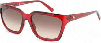 Ferragamo SF1018S 655 Transparent Wine/Brown Gradient