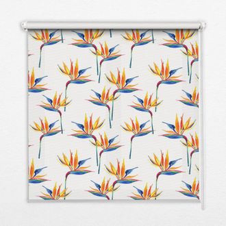 Tulup Tenda A Rullo Interna Per Finestra - Tenda Filtrante Luce - Tenda Privacy - Tenda Decorativa Rettangolare - Rullo Per Interni - (70 Cm X 140 Cm) - Fog