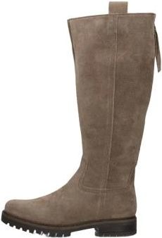 Gabor Schoenen, Dames, Grijs, 37 1/2 EU, 727 Overknee-laarzen