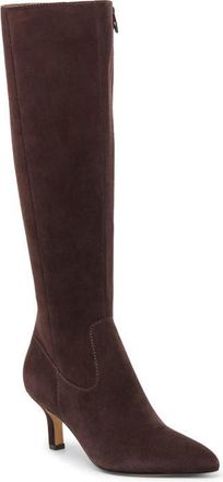 Dolce Vita Attie H2O Water Resistant Knee High Boot in Mahogany Suede H2O at Nordstrom, Size 6.5