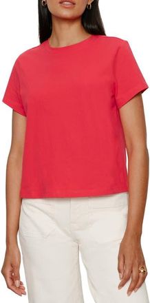 Sanctuary Rose Perfect Cotton T-Shirt in Tulip Red at Nordstrom, Size X-Small