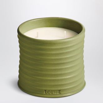 Loewe Candela media allessenza di pistacchio