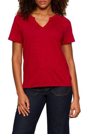 Sanctuary Notch V-Neck Cotton Blend T-Shirt in Red Berry at Nordstrom, Size Xx-Large