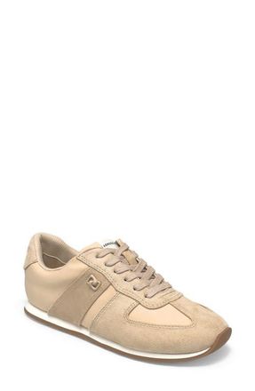 Aerosoles Jett Sneaker in Stone at Nordstrom, Size 8.5