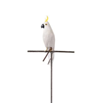 Puebco Parrot L side, white