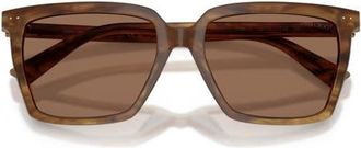 Jimmy Choo London 55mm Square Sunglasses in Brown Havana /Dark Brown at Nordstrom