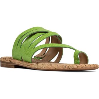 Donald J Pliner Hazie Toe Loop Sandal in Kiwi at Nordstrom, Size 6.5