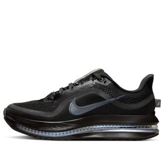 Nike (WMNS) Nike Air Zoom Pegasus Premium Black Metallic Silver HQ2593-004