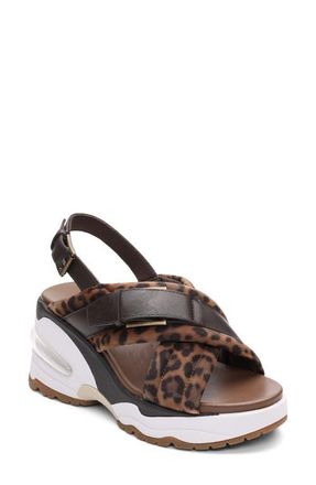 Ash Dixie Bis Leopard Slingback Slide Sandal at Nordstrom, Size 11Us