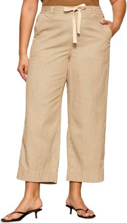 Sanctuary Lily Stripe Crop Pants in Brown at Nordstrom, Size 16W