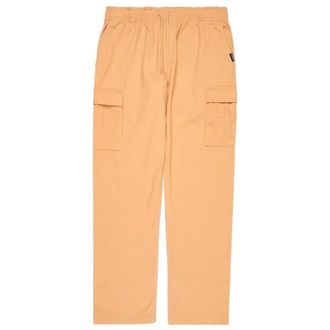 Quiksilver Taxer Cargo Pant Freizeithose f&uuml;r Herren | beige