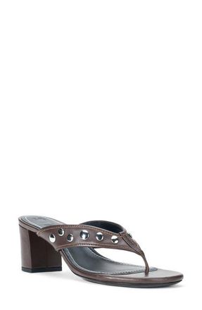 Staud Nova Studded Thong Block Heel Sandal in Espresso Studs at Nordstrom, Size 10.5Us