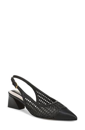 Franco Sarto Racer Slingback Pointed Toe Pump in Black/Black at Nordstrom, Size 6.5