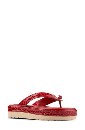 Donald J Pliner Thong Sandal in Tomato at Nordstrom Rack, Size 6.5