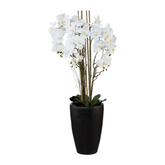 Schubiger M&ouml;bel Orchideenpflanze weiss Vase Dunkelbraun