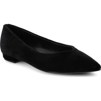 Birdies The Goldfinch 15 in Black Velvet at Nordstrom, Size 7.5