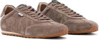 AllSaints Liam Sneaker in Karoo Brown at Nordstrom, Size 10