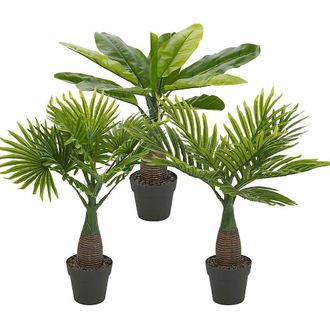 Wurko Importacion Planta Artificial Palmito 40 Cm, Planta Artificial Palmito De 40 Cm. -maceta Decorativa Con Palmito Artificial. -dimensiones: 9 X 10 X 40 