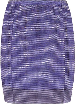 Santa Brands Netted Skirt