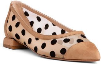 BEAUTIISOLES Blake Ballerina in Taupe at Nordstrom, Size 6.5