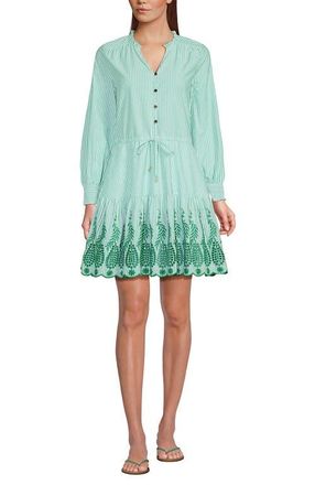 Lands End Long Sleeve Eyelet Mini Popover Dress in Vibrant Clover Stripe Eyelet at Nordstrom, Size Medium
