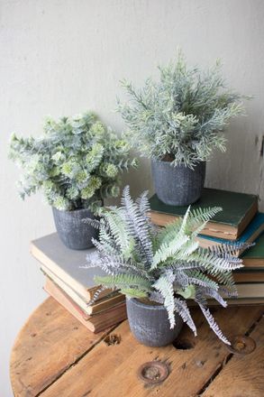 Kalalou Set Of Three Ferns With Round Grey Pots