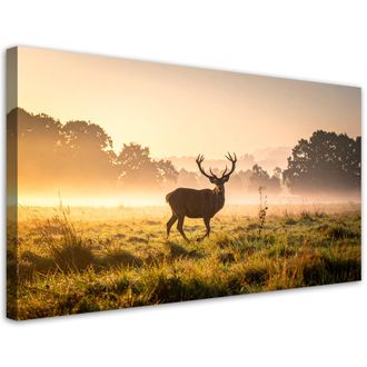 Feeby Cuadro Sobre Lienzo, Paisaje Ciervo En Celo En La Niebla, 120x60