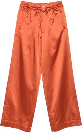 Dries Van Noten Broeken, Heren, Bruin, S, Pantalone