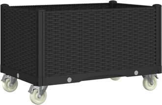 vidaXL Jardinera Con Ruedas Pp Negro 80x50x54 Cm Vidaxl