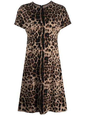Dolce & Gabbana leopard-jacquard short-sleeved dress - women - Viscose/Polyamide/Elastane - 40 - Brown