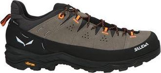 Salewa ALP TRAINER 2 GTX