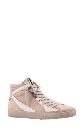 Shushop Rooney High-Top Sneaker in Beige Suede at Nordstrom Rack, Size 6