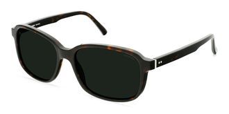 Rodenstock R3328 Polarized B440 Mens Sunglasses Tortoiseshell Size 58