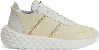 Giuseppe Zanotti Urchin