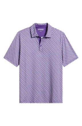 Johnston & Murphy XC+ Game Day Performance Polo in Purple at Nordstrom, Size Xx-Large