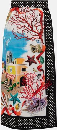 Dolce & Gabbana Capri printed cotton maxi skirt