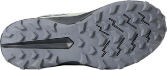 UGG Peregrine 14 GTX Sage / Carbon S10918-253 Womens