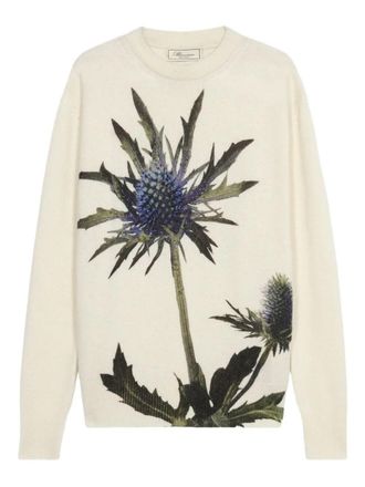 Blumarine Thistle Print Knit Round Neck Sweater